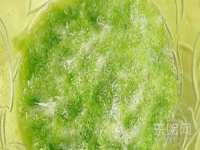 上海舜娟企业管理有限公司